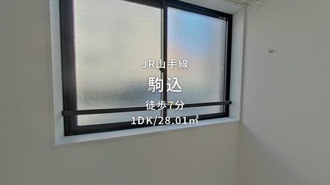 動画