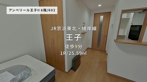 動画
