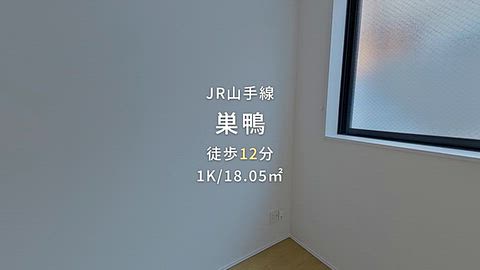 動画