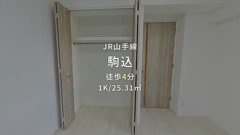 動画