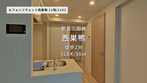 動画