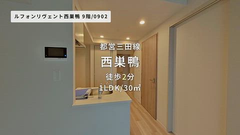 動画