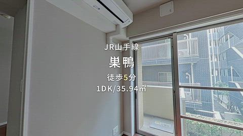 動画