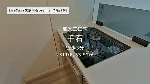 動画