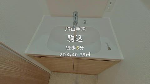 動画