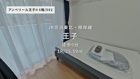 動画