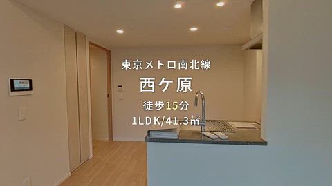 動画