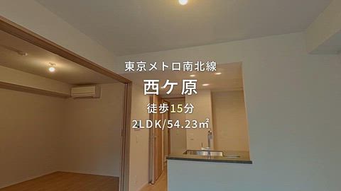動画