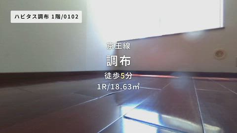 動画