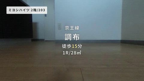 紹介ムービー