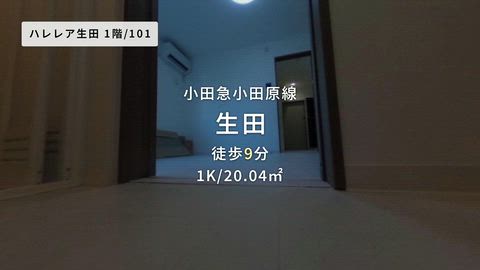 動画
