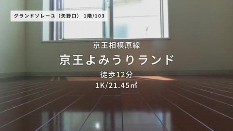 動画