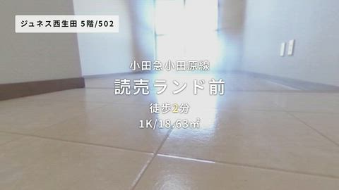 紹介ムービー