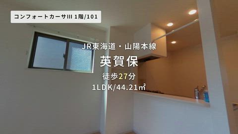 動画