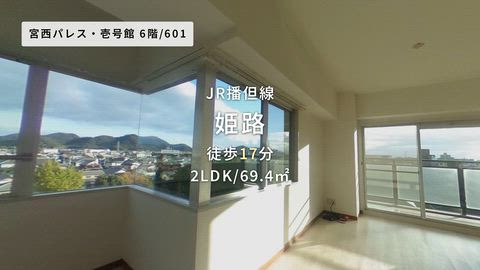 動画