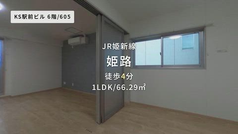 動画