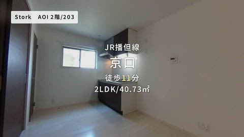 動画