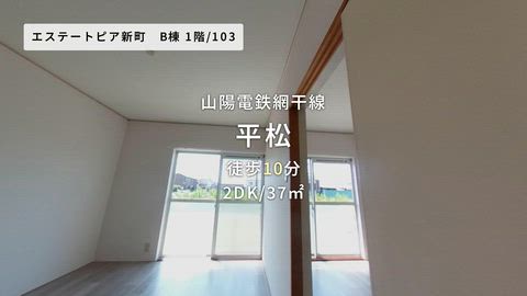 動画