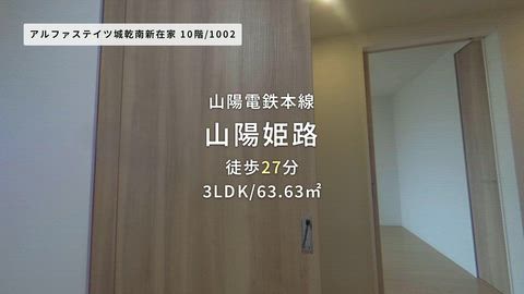 動画