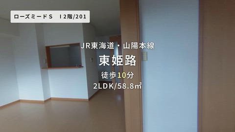 動画