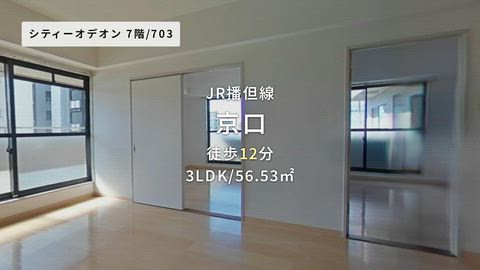 動画