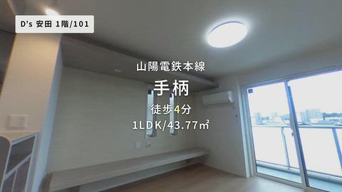 動画