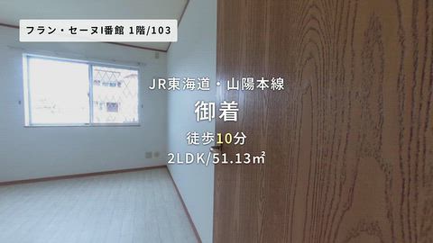 動画