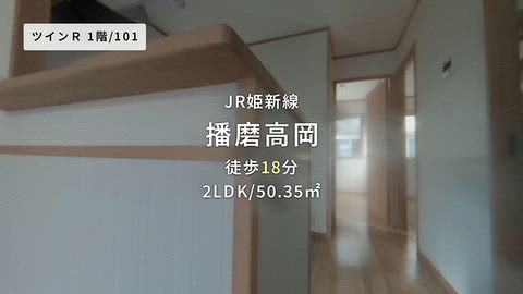 動画