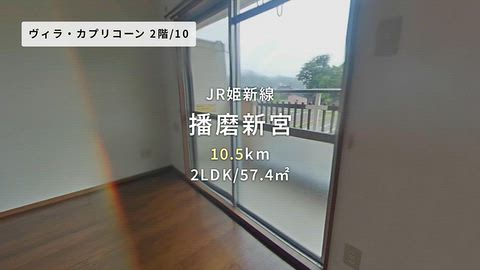 動画
