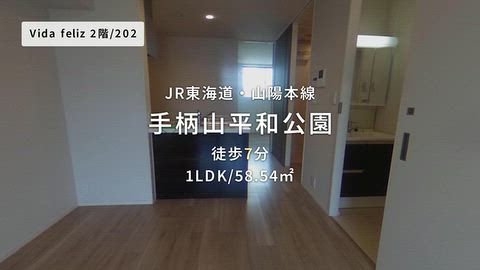 動画