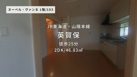 動画