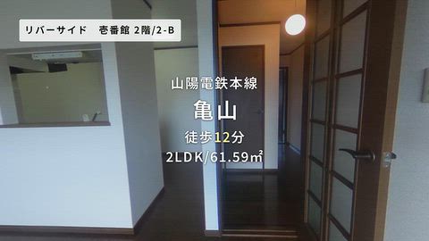 動画