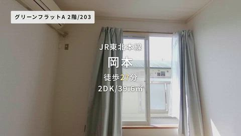 動画