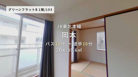 動画