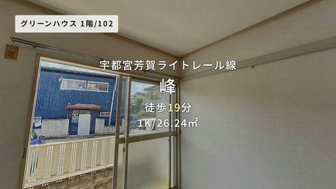 動画