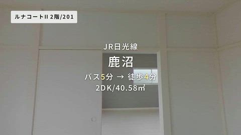 動画