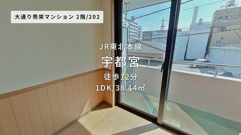 動画