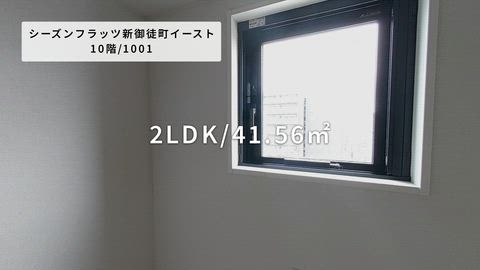 動画