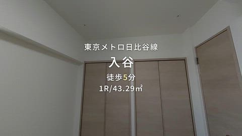 動画