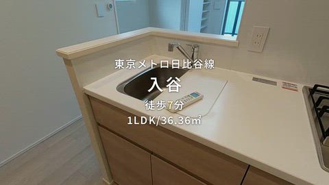 動画
