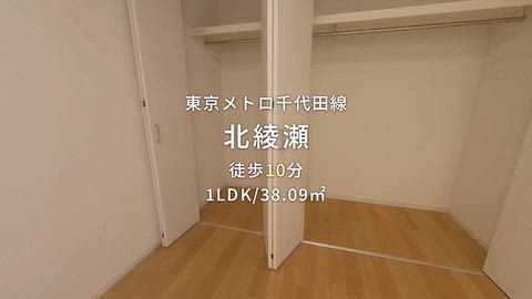 動画