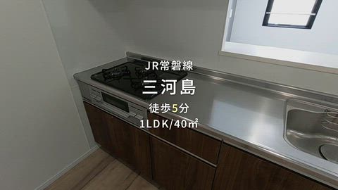 動画