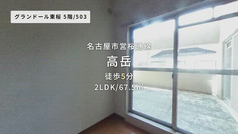 動画