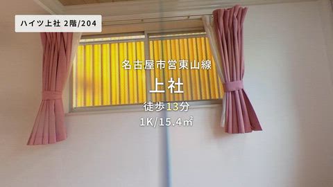 動画