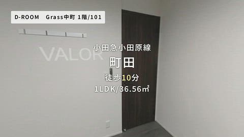 動画
