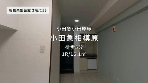動画