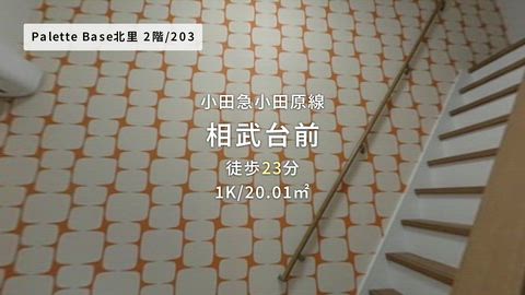 動画