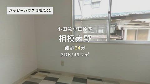 動画