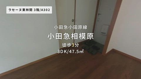 紹介ムービー