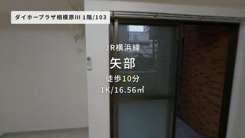 動画